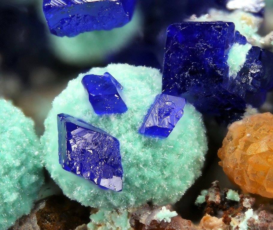 Azurite sur malachite